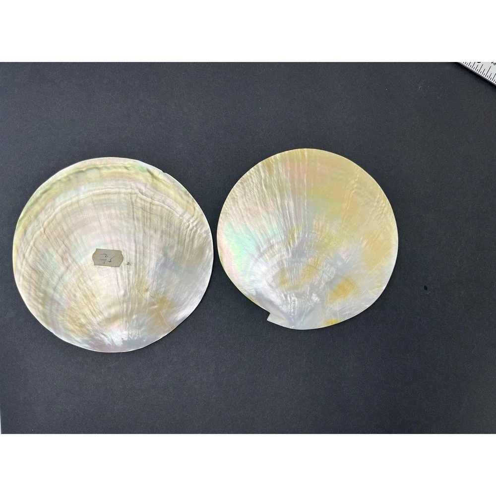 2 x Genuine Mother Of Pearl Sea Shell Caviar Dish Appetizer Plate 5.5